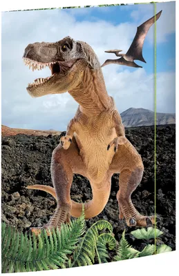 Obrázok produktu pre RNK Verlag 45356 Výkresový priečinok "T-REX" DIN A3