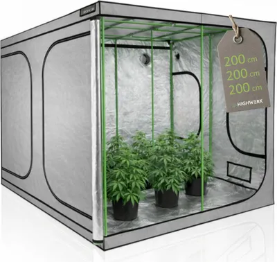 Image de HIGHWERK Tente de culture 200 x 200 x 200 cm, « MyHomeGrow » Grow Tent, grise, tente de culture d'intérieur, tente d'élevage