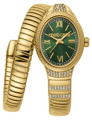 Image de Roberto Cavalli Montres MP245997