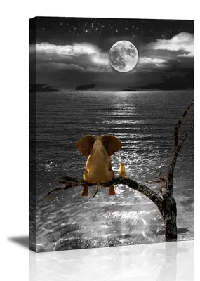 Produktbild von 4022 Elefant am Meer Leinwandbild 80x60 cm