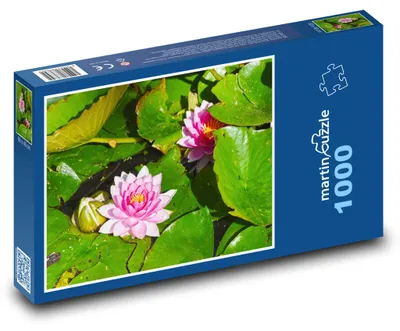 Zdjęcie produktu dla Puzzle 1000 Piękne różowe nenufary - martinpuzzle