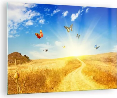 Produktbild von Bilder auf glas - Schmetterlinge Wiese Gras - 70x50cm - Glasbilder - Wandbilder - Kunstdruck - zum Aufhängen bereit - Wanddekoration aus Glas - Glas Bilder - Wandbild auf Glas - GAA70x50-0517