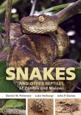 Image de Field Guide to Snakes and other Reptiles of Zambia and Malawi