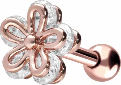 Produktbild von Ohrpiercing Chirurgenstahl Ohrpiercing BLUME + KRISTALL