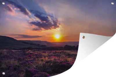 Produktbild von MuchoWow® 90x60 cm Outdoor-Poster Gartendeko Sichtschutz Garten Poster für den Garten  Sonnenuntergang in der Heidelandschaft