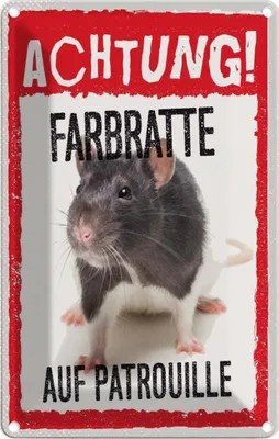 Produktbild von vianmo Blechschild 30x20 cm Achtung Farbratte auf Patrouille Witz Humor Lustig Spaß