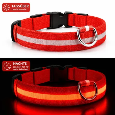 Produktbild von LED Hundehalsband USB aufladbar reflektierend Leuchthalsband verstellbar S–XL für Hunde Nacht Sicherheit inkl. Ladekabel Gr. M (37 - 46cm) - ROT