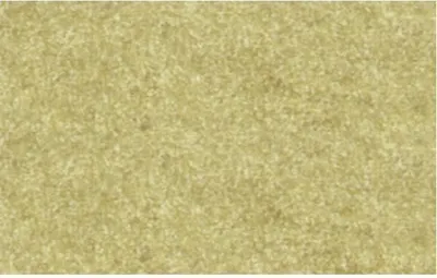 Produktbild von Elefantenhaut 110g/qm A4 VE=100 Blatt chamois