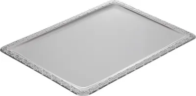 Obrázek produktu pro APS-Germany 00381, Display tray, Obdélník, Nerezová ocel, Nerezová ocel, 500 mm, 360 mm