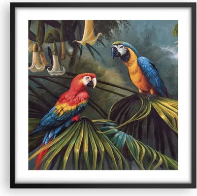 Produktbild von Gerahmtes Poster - Schwarzer Rahmen - Ara Papageien Palmen - 50x50 cm - Wand Bild - Wanddeko - Wandbilder - Kunstposter - Wandposter - Bilderrahmen - Bilder - Kunstdruck - P2BAC50x50-4780