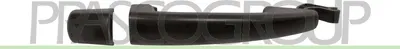 Produktbild von PRASCO PG0618003 Türgriff Hinten Links Hinten Rechts Vorne Rechts passend für PEUGEOT 407 SW (6E)