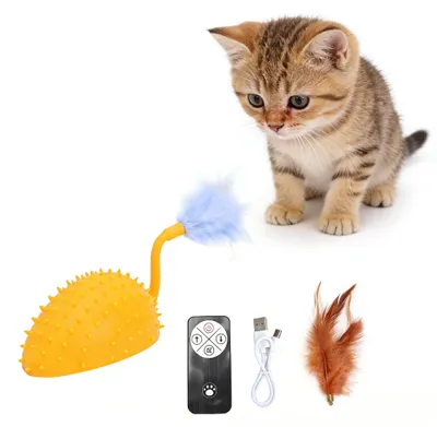Elektrisches Katzenspielzeug, Maus, USB, 360° Bewegung, Katze/Hund