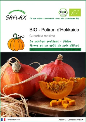 Image de SAFLAX -- Potiron d'Hokkaido - 5 graines - Cucurbita