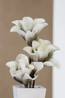 Produktbild von Casablanca Dekoblume Foam Flower Rumba weiß Taube