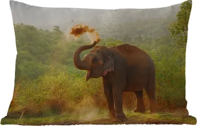 Produktbild von MuchoWow® Outdoor Kissen - Elefant - Tiere - Wald - Bäume - 60x40 cm - Wetterfest - Lounge Kissen - Zierkissen - Kissen für Innenräume
