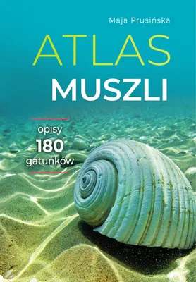 Immagine prodotto di Atlas muszli