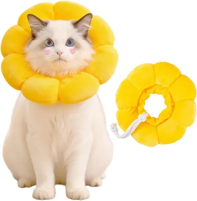 Produktbild von Katzenhalsband XL, Leckschutz, verstellbar, Sonnenblume, für Genesung