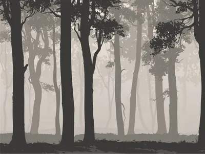 Produktbild von Sanders & Sanders Fototapete bewaldete Landschaft Grau und Schwarz 375 x 270 cm