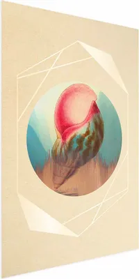 Produktbild von Posterpapier Poster - Shell 29.7x42 cm Abstrakt n-A-0849-ao-a