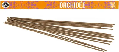 Produktbild von Orchidee Japanischer Weihrauch