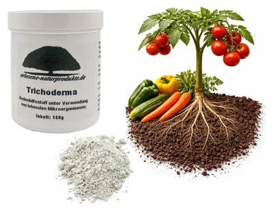 Produktbild von Trichoderma 150g Bodenhilfsstoff unter Verwendung von lebenden Mikroorgansimen/Stimulierung des Pflanzenwachstums und Vitalität der Pflanzen