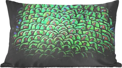 Produktbild von MuchoWow® Zierkissen Sofakissen Wohnzimmer Dekokissen 60x40 cm Pfau - Federn - Muster - Kopfkissen - Polster mit Foto