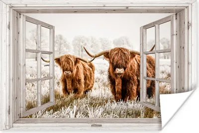 Produktbild von MuchoWow® Poster Durchblick - Schottische Highlander - Tiere 60x40 cm - Schlafzimmerdekoration