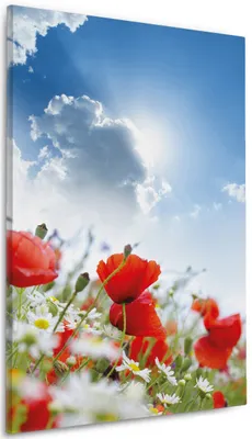 Produktbild von Wallario Premium Leinwandbild Mohnblumen unter blauem Himmel in Größe 60 x 90 cm