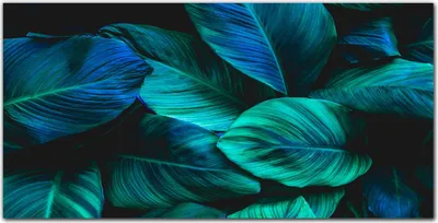 Produktbild von Coloray - Bild aus Glas - 120x60 cm - wanddekoration wohnzimmer glasblock mit bild gehärtetes Glas Dekoration Küche - Blume Pflanze Blätter