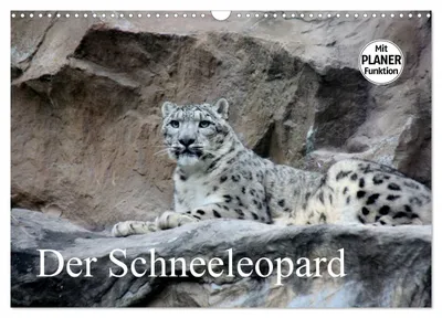 Produktbild von Der Schneeleopard (Wandkalender 2027 DIN A3 quer), CALVENDO Monatskalender