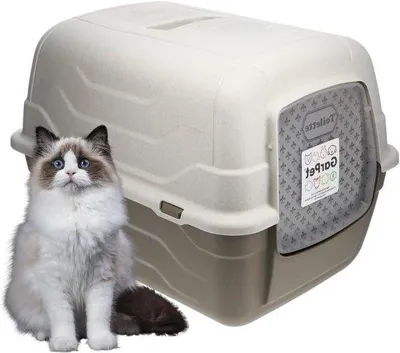 Produktbild von XXL Katzenklo mit Deckel und Schaufel Aktivkohlefilter