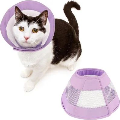 Image de Collier postopératoire Famanu pour chiens et chats - Taille L