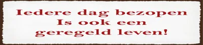 Produktbild von vianmo Blechschild 10x46 cm ledere dag bezopen is ook een geregeld leven