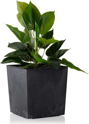 Zdjęcie produktu dla HowHomely doniczka Flore 19 cm wysokości, doniczka na rośliny, czarna doniczka na balkon ogrodowy