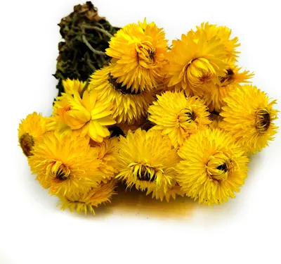 Produktbild von Getrocknete Strohblume Granvia® - (Helichrysum Granvia®) - Gelb