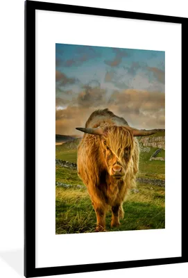 Produktbild von MuchoWow® Gerahmtes Poster Schottischer Highlander - Gras - Berg 60x90 cm - Poster mit Schwarzem Bilderrahmen Wandposter Rahmen Foto Bilder - Dekoration - Wandposter Wohnzimmer - Hochwertig