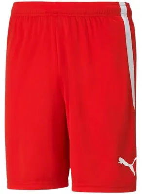 Produktbild von Puma - "TeamLIGA" Shorts für Herren PP5066 (XL) (Rot)