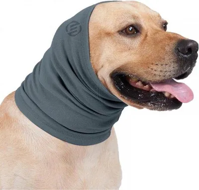 Produktbild von Hunde-Ohrschützer Komfortabel Ruhig