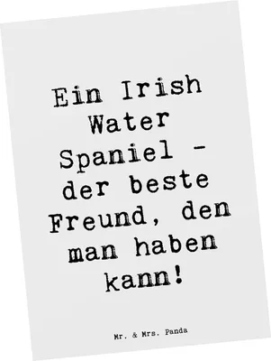 Produktbild von Mr. & Mrs. Panda Postkarte Spruch Irish Water Spaniel Freund - Weiß - Geschenk, Ansichtskarten, kuscheln, Hunderasse, Postkarten, Hundeliebhaber, verspielt, Grußkarte