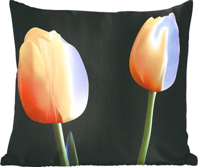 Produktbild von MuchoWow® Zierkissen Sofakissen Wohnzimmer Dekokissen 50x50 cm Eine Vektor-Illustration von zwei gelben Tulpen - Komfort - Sofakissen