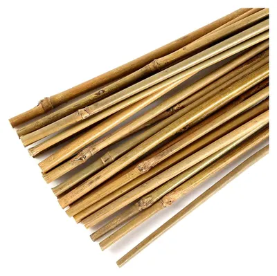 Produktbild von Bambusstäbe für den Garten zur Unterstützung von Pflanzen, 20 Stück (30 cm)