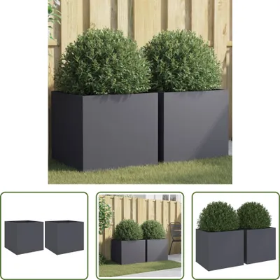 Obrázek produktu pro The Living Store květináč 2 ks Antracit 49x47x46 cm Ocel válcovaná za studena