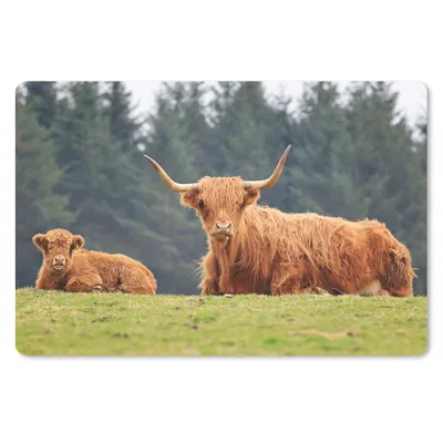 Produktbild von MuchoWow® Schreibtischunterlage Schottische Highlander - Gras - Wald 60x40 cm - XXL Mauspad - Großes Mauspad