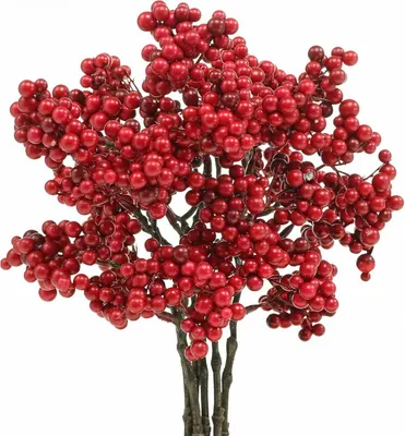 Produktbild von Deko-Zweig Beeren für Herbst Winter Advent Dekoration, 6 Stück