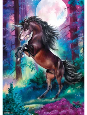 Image de Schmidt Spiele 58887, 1000 pièces, Animaux, 3 ans/ans