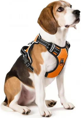 Produktbild von Famanu Hundegeschirr für mittelgroße Hunde - No Pull, reflektierend, verstellbar, mit Handgriff - Orange - M