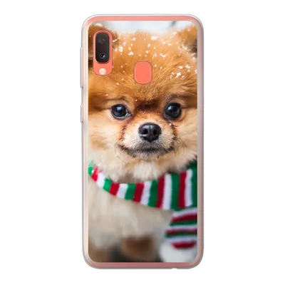 Produktbild von MuchoWow® Handyhülle Schutzhülle Hülle für Samsung Galaxy A20e Hund - Halstuch - Schnee Silikon Softcase Handy Hülle - Abdeckung