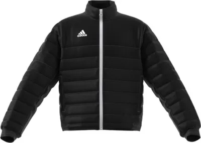 Produktbild von Adidas Kurtki Entrada 22 Light, IB6069, Rozmiar: 164