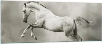 Produktbild von Bilder auf glas - Pferd Tier - 140x50cm - Glasbilder - Wandbilder - Bilder - Kunstdruck - zum Aufhängen bereit - Wanddekoration aus Glas - Glas Bilder - Wandbild auf Glas - Einteilig - GAB140x50-3542