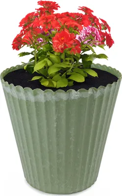 Image de Pot de fleurs vert cannelé comme pot de plantes d'extérieur rond 13 cm